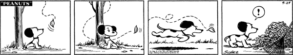 rpIQGcO.png