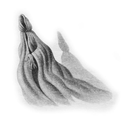 EHCnfSL.png