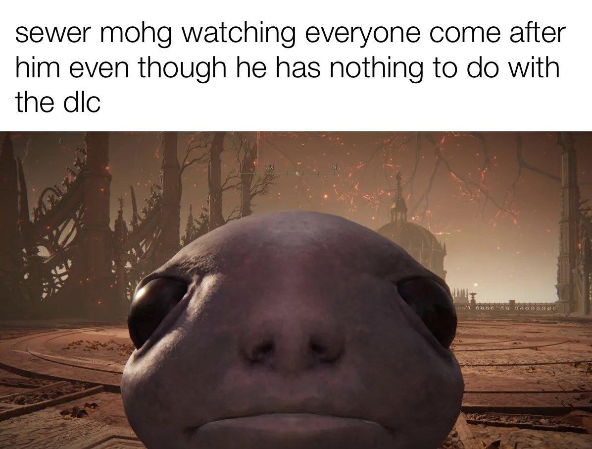 5xcjweae477d1.jpeg