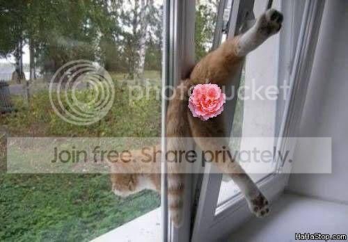 Wants_To_Get_Out.jpg