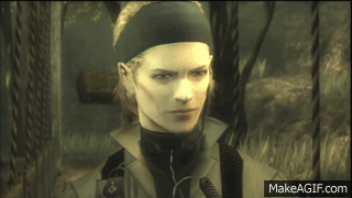 Zr_pv3.gif