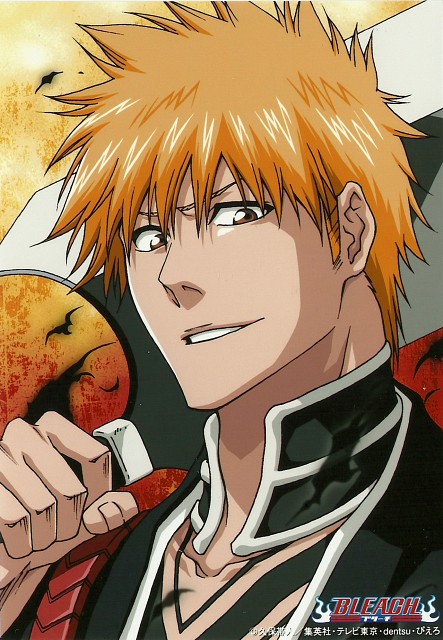 Bleach-bleach-anime-29097219-443-640.jpg