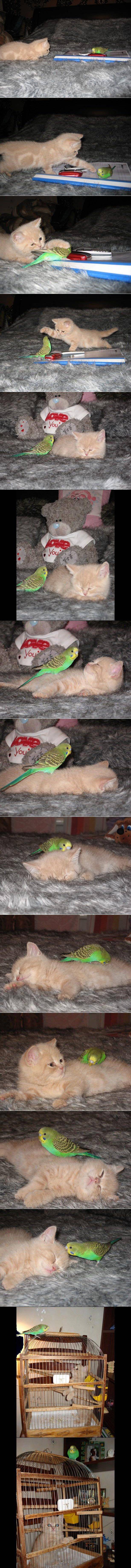 7Hfrr.jpg