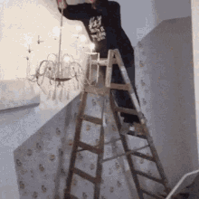 8ZObFM4.gif