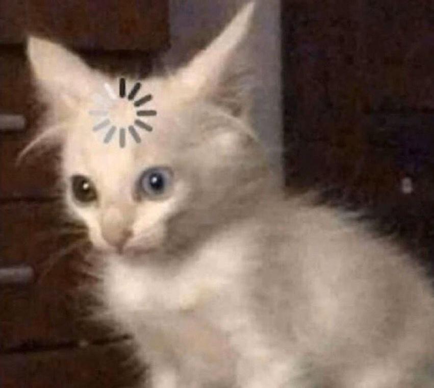 AAbNXFH.jpg