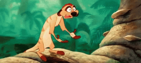 omg-lion.gif