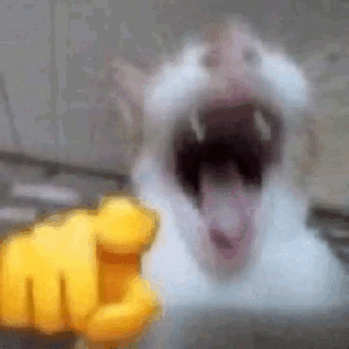 veuLbsR.png