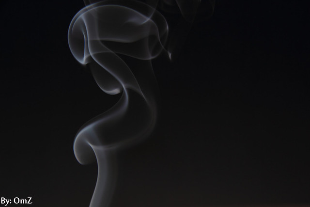 5544334176_0992ac2ca4_z.jpg