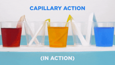 ncRtIXL.gif