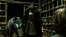 tumblr_m1utquYuLk1r2dphdo1_400.gif