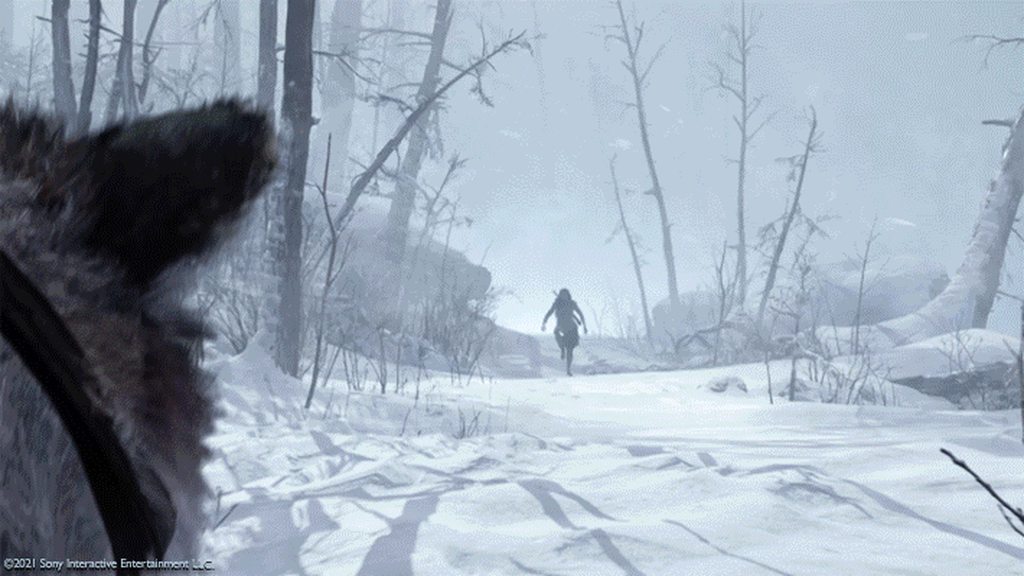 IgoGtw9h.gif