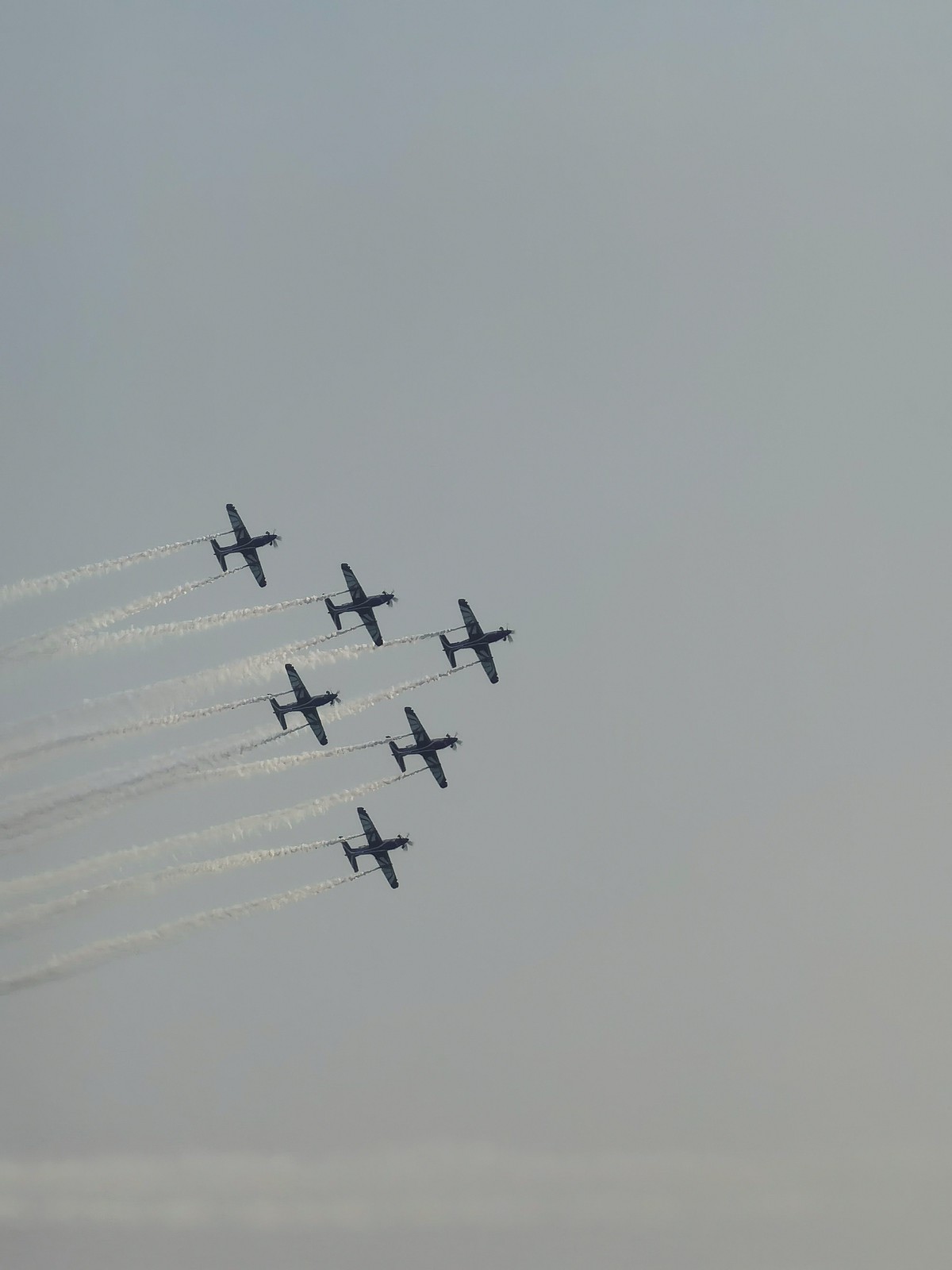 50718037338_d14117a6b7_h.jpg