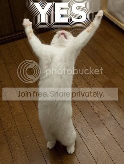 YES_cat.jpg