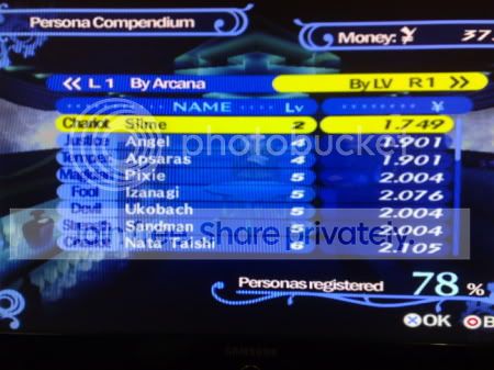 78.jpg