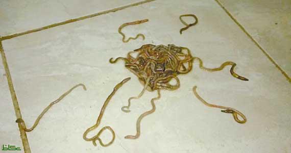 m10.jpg