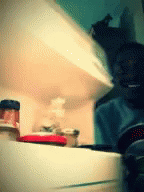 fridge-nothing-to-eat.gif