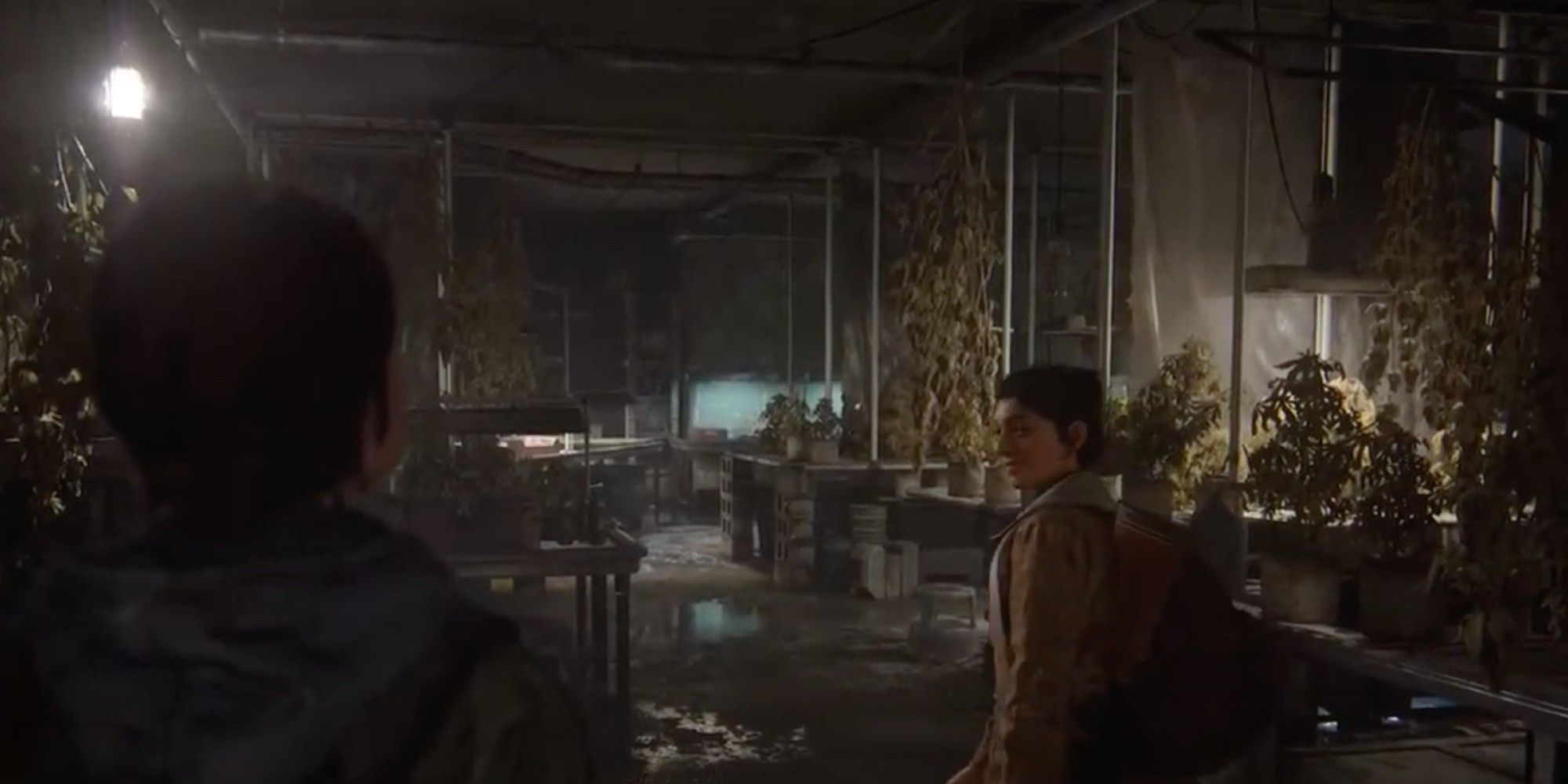 last-of-us-weed-room-.jpg