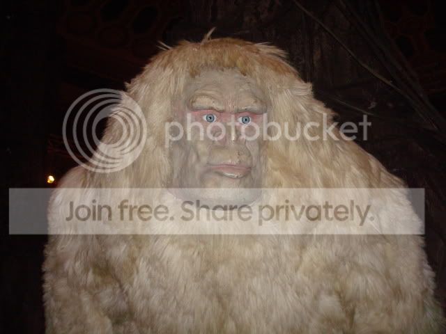 YETI2.jpg