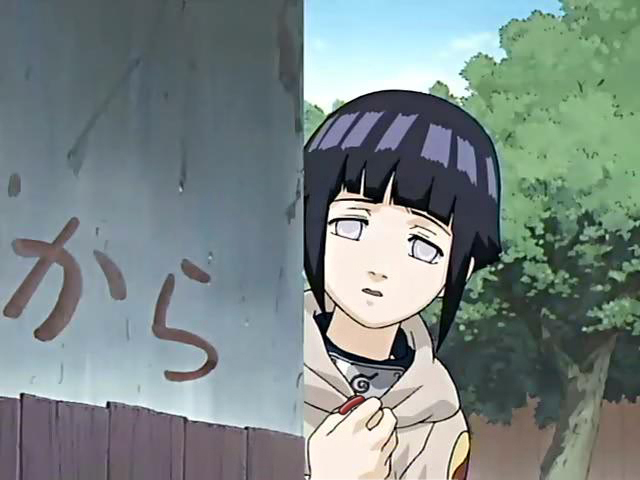 Hinata-hinata-hyuga-33890583-640-480.jpg