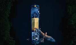 tumblr_prnt87tiEV1x8caoko5_r1_400.gif
