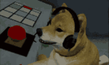 evil-doge.gif