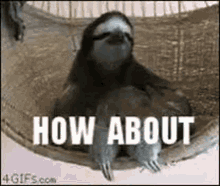 how-no.gif