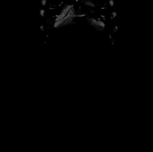 tumblr_ljfsdcZNZ31qigno9o1_500.gif