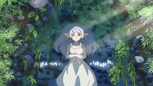 tenor.gif