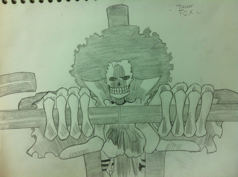 brook___one_piece_by_trainerfox-d4yqce1.jpg