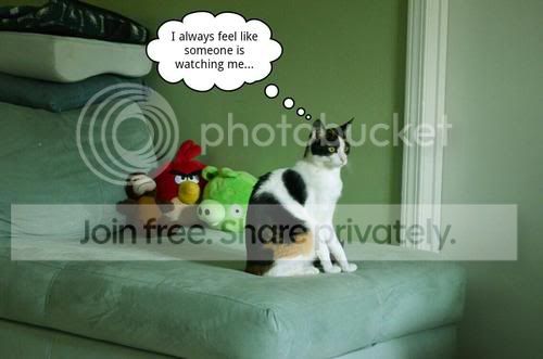 tumblr_m6tqwq11PW1qzex9io1_500.jpg