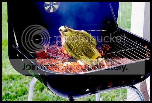 bbq-1.jpg