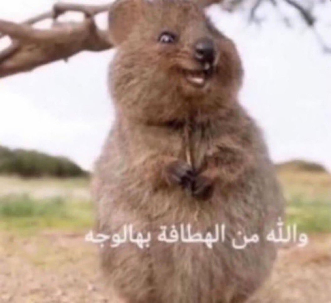 Gqcng27XYAALJiF.jpg