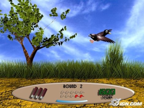 duck-hunt-20060510033655900.jpg