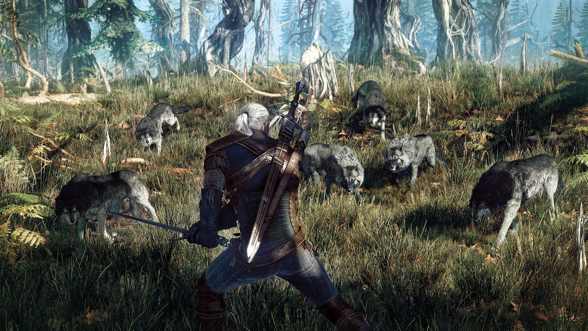 image_the_witcher_3_wild_hunt-22509-2651_0005.jpg