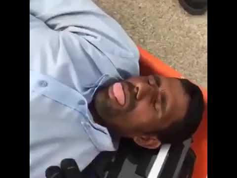 hqdefault.jpg