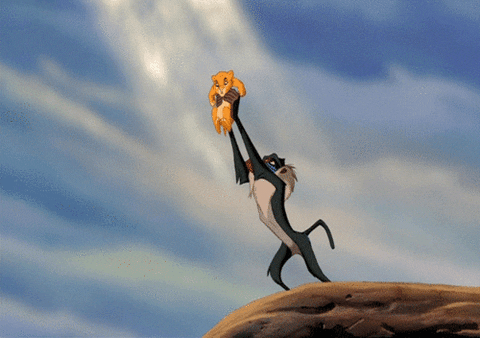 Young-Lions-giphy.gif