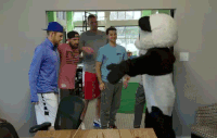 e82f785f1150b2211d00d9e80f44efe4_w200.gif