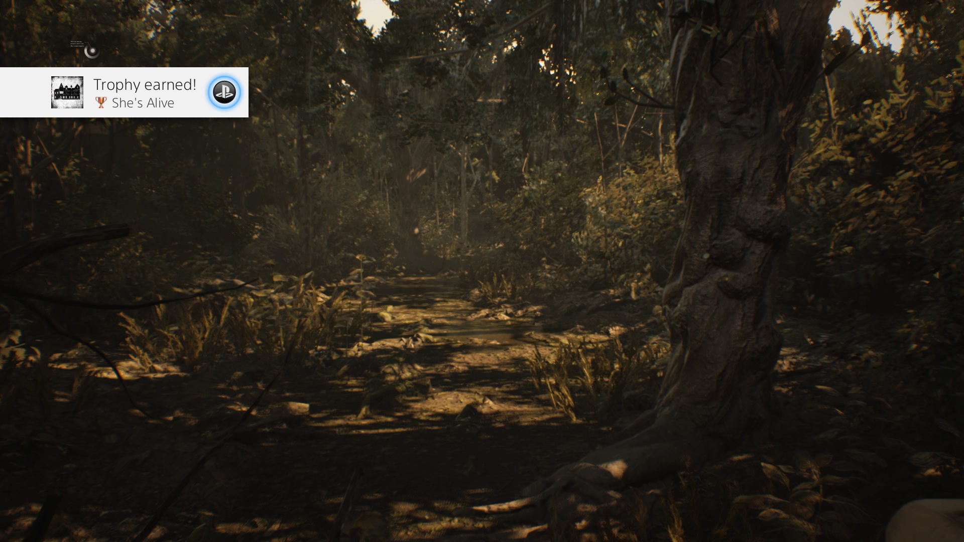 hYAWkLC.jpg