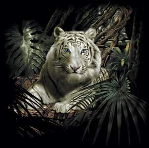 White-Tiger-T-shirt-Lge.jpg