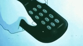 giphy.gif