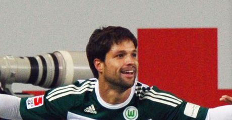 Diego_2516999.jpg