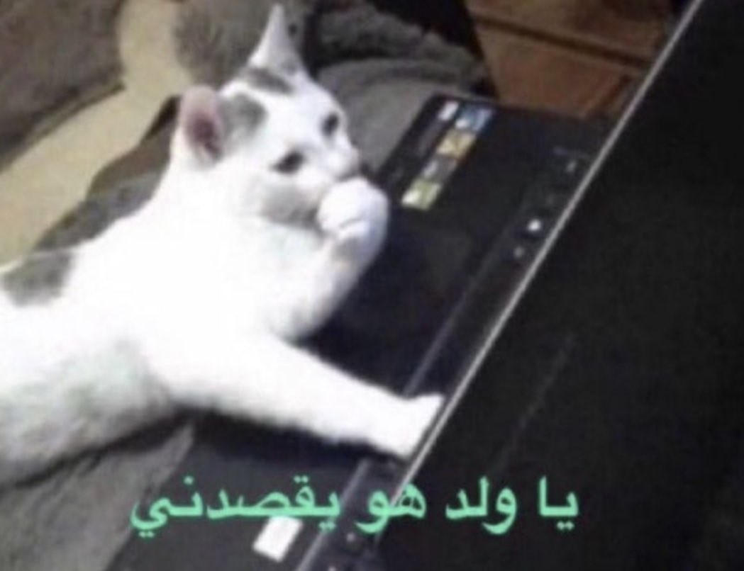 Fu_ZkvcWcAc0udV.jpg