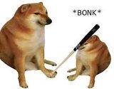 SkjsPXjt.jpg