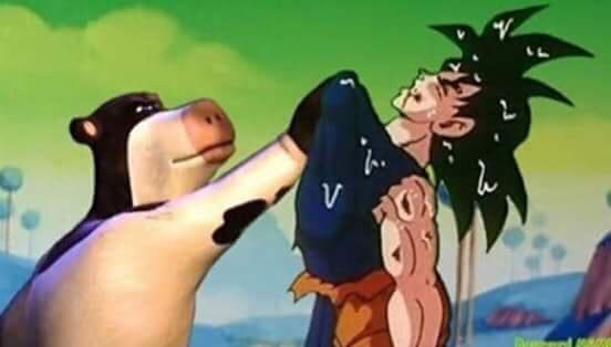 SGwWuOC.jpg