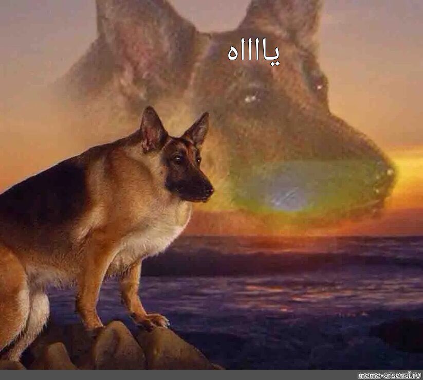 GHnXWi2WsAASMOB.jpg