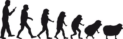 human-evolution-sheep-30702287.jpg