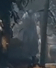 b1SMqCa.gif