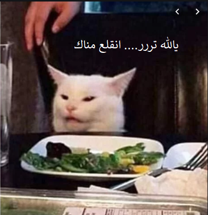 9ZJkgSU.png