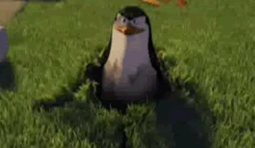 You-didnt-see-me-1.gif
