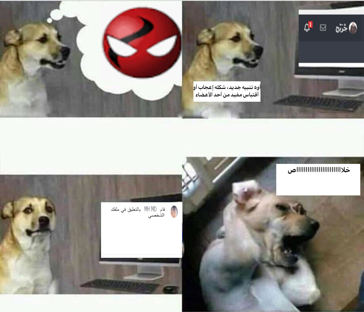 kaZn5ZU.png